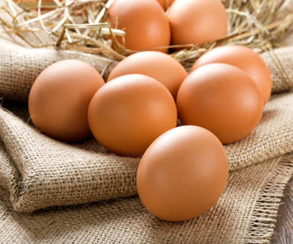 Trứng là thần dược vừa bổ sung dinh dưỡng vừa hỗ trợ giảm cân hiệu quả cho chị em phụ nữ